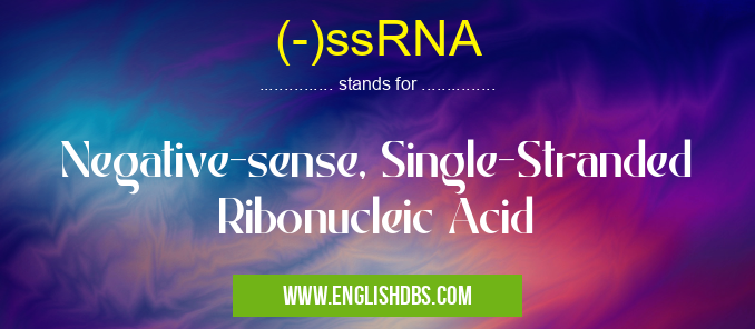 (-)ssRNA means Negative-sense, Single-Stranded Ribonucleic Acid (-)ssRNA