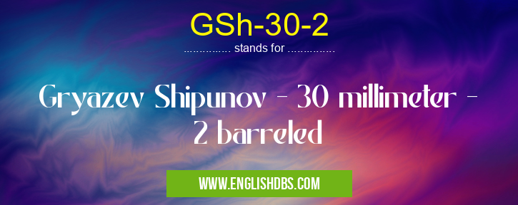 GSh-30-2 means Gryazev Shipunov - 30 millimeter - 2 barreled GSh-30-2