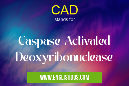 CAD means Caspase Activated Deoxyribonuclease CAD