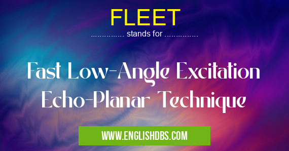 FLEET means Fast Low-Angle Excitation Echo-Planar Technique FLEET