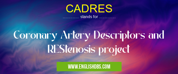 CADRES means Coronary Artery Descriptors and REStenosis project CADRES