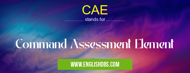 CAE means Command Assessment Element CAE