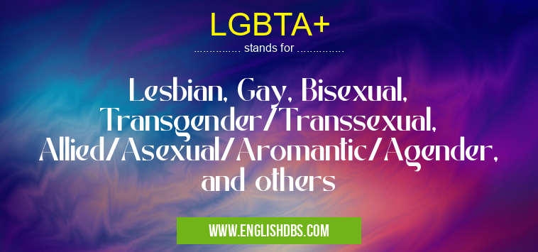 LGBTA+ means Lesbian, Gay, Bisexual, Transgender/Transsexual, Allied/Asexual/Aromantic/Agender, and others LGBTA+