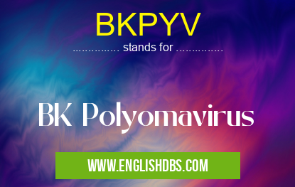 BKPYV means BK Polyomavirus BKPYV