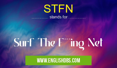 STFN means Surf The F***ing Net STFN