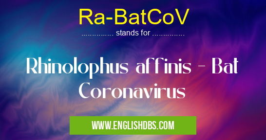 Ra-BatCoV means Rhinolophus affinis - Bat Coronavirus Ra-BatCoV