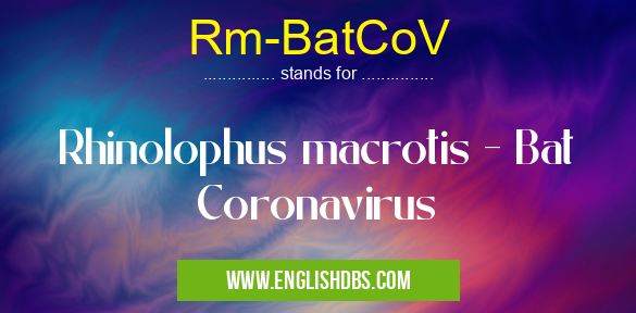 Rm-BatCoV means Rhinolophus macrotis - Bat Coronavirus Rm-BatCoV