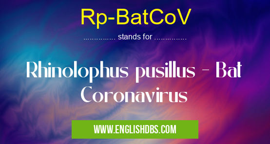 Rp-BatCoV means Rhinolophus pusillus - Bat Coronavirus Rp-BatCoV
