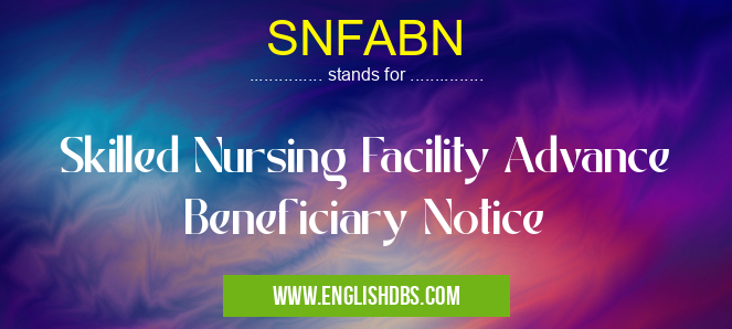 SNFABN means Skilled Nursing Facility Advance Beneficiary Notice SNFABN