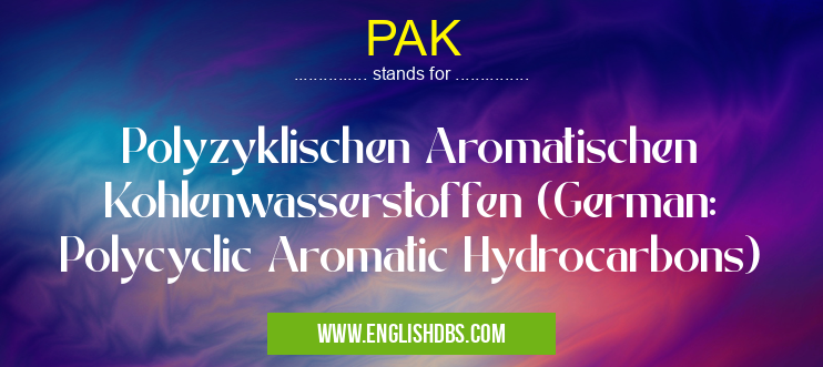 PAK means Polyzyklischen Aromatischen Kohlenwasserstoffen (German: Polycyclic Aromatic Hydrocarbons) PAK