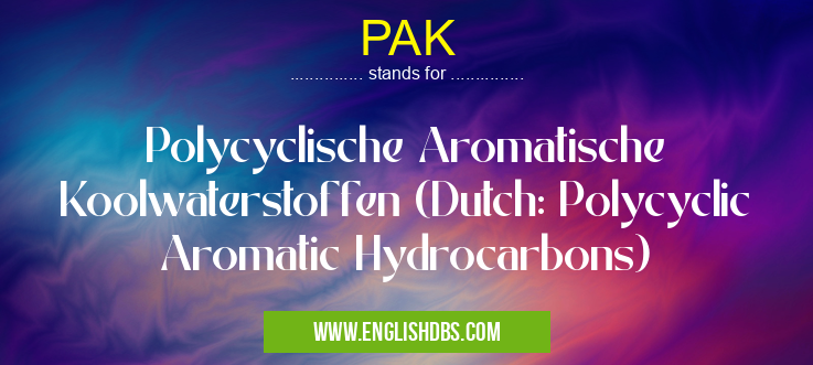 PAK means Polycyclische Aromatische Koolwaterstoffen (Dutch: Polycyclic Aromatic Hydrocarbons) PAK