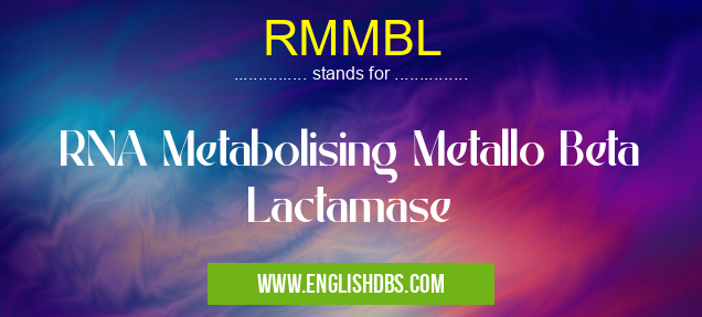 RMMBL means RNA Metabolising Metallo Beta Lactamase RMMBL