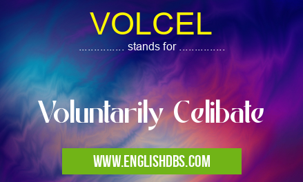VOLCEL means Voluntarily Celibate VOLCEL