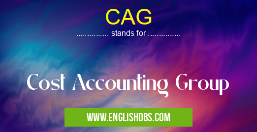 CAG means Cost Accounting Group CAG