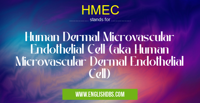 HMEC means Human Dermal Microvascular Endothelial Cell (aka Human Microvascular Dermal Endothelial Cell) HMEC