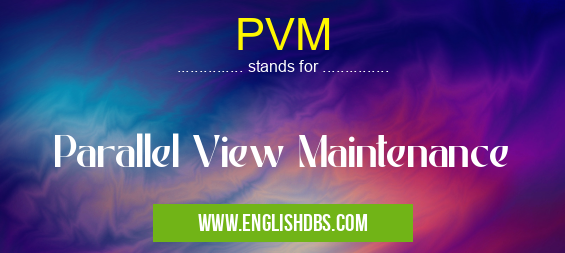PVM means Parallel View Maintenance PVM