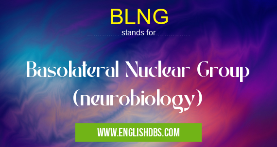 BLNG means Basolateral Nuclear Group (neurobiology) BLNG