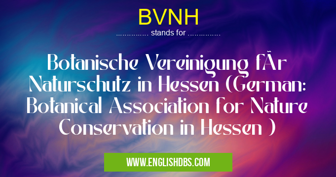 BVNH means Botanische Vereinigung für Naturschutz in Hessen (German: Botanical Association for Nature Conservation in Hessen ) BVNH
