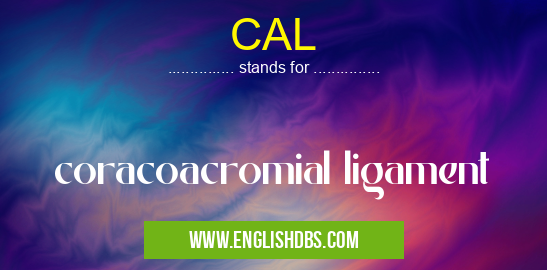 CAL means coracoacromial ligament CAL