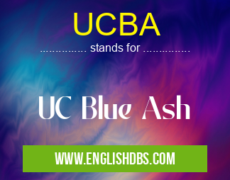 UCBA means UC Blue Ash UCBA