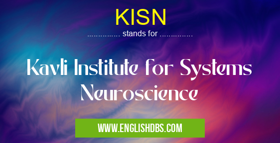 KISN means Kavli Institute for Systems Neuroscience KISN