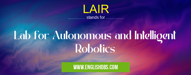 LAIR means Lab for Autonomous and Intelligent Robotics LAIR