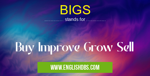 BIGS means Buy Improve Grow Sell BIGS