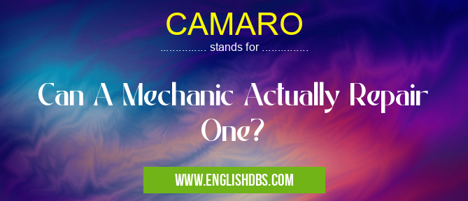 CAMARO means Can A Mechanic Actually Repair One? CAMARO