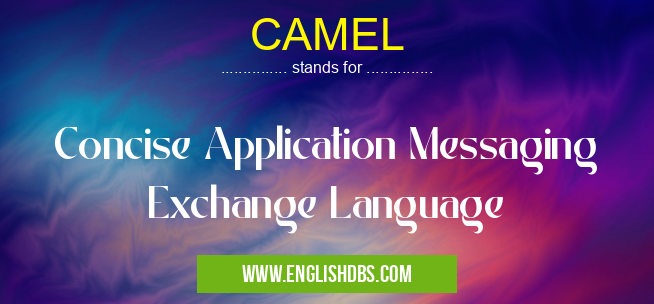 CAMEL means Concise Application Messaging Exchange Language CAMEL