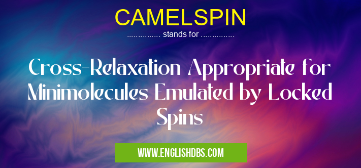 CAMELSPIN means Cross-Relaxation Appropriate for Minimolecules Emulated by Locked Spins CAMELSPIN