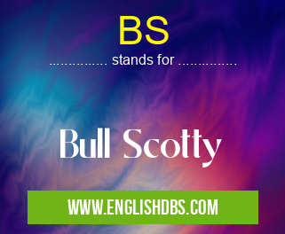 BS means Bull Scotty BS