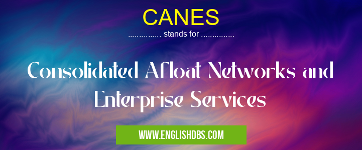 CANES means Consolidated Afloat Networks and Enterprise Services CANES