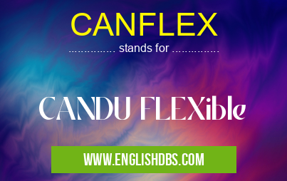 CANFLEX means CANDU FLEXible CANFLEX