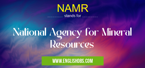 NAMR means National Agency for Mineral Resources NAMR