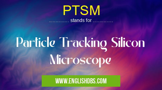 PTSM means Particle Tracking Silicon Microscope PTSM