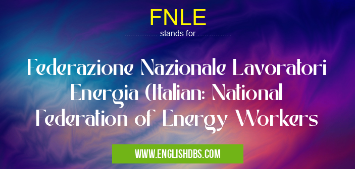 FNLE means Federazione Nazionale Lavoratori Energia (Italian: National Federation of Energy Workers FNLE