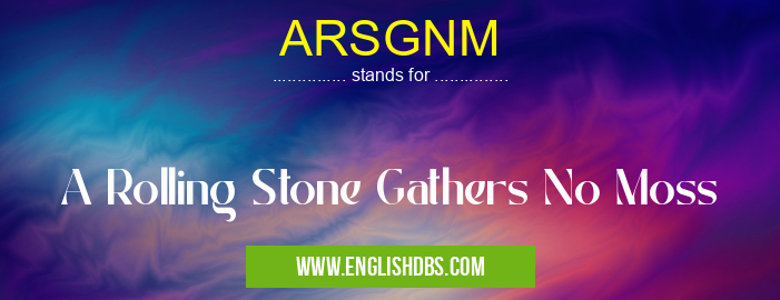 ARSGNM means A Rolling Stone Gathers No Moss ARSGNM