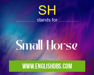 SH means Small Horse SH