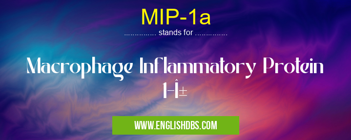 MIP-1a means Macrophage Inflammatory Protein 1-α MIP-1a