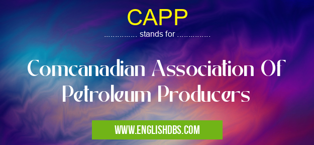 CAPP means Comcanadian Association Of Petroleum Producers CAPP