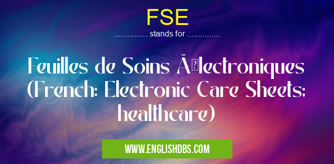 FSE means Feuilles de Soins Électroniques (French: Electronic Care Sheets; healthcare) FSE