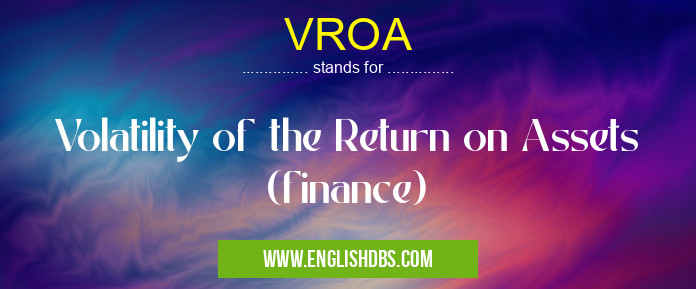 VROA means Volatility of the Return on Assets (finance) VROA