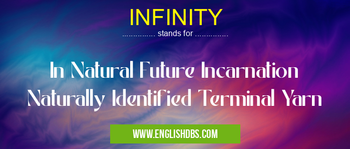 INFINITY means In Natural Future Incarnation Naturally Identified Terminal Yarn INFINITY
