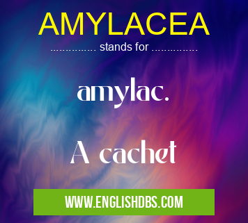 AMYLACEA means amylac.
A cachet AMYLACEA