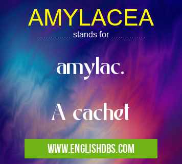 AMYLACEA