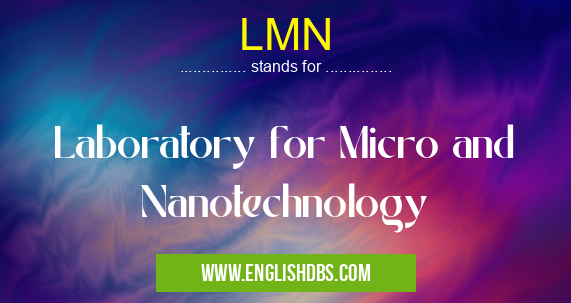 LMN means Laboratory for Micro and Nanotechnology LMN