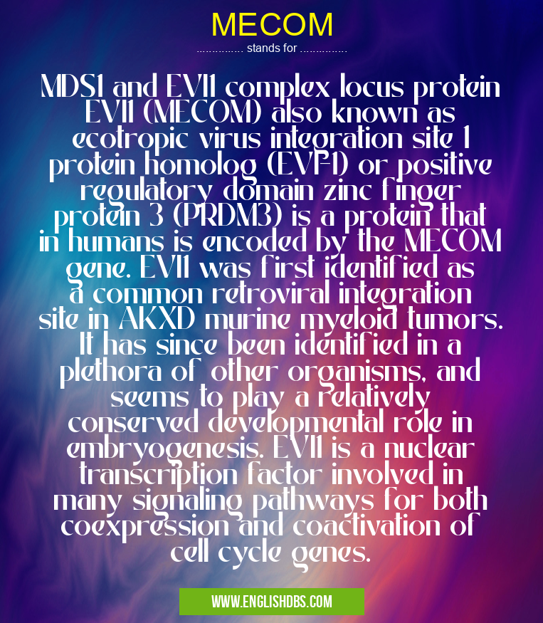 MECOM means MDS1 and EVI1 complex locus protein EVI1 (MECOM) also known as ecotropic virus integration site 1 protein homolog (EVI-1) or positive regulatory domain zinc finger protein 3 (PRDM3) is a protein that in humans is encoded by the MECOM gene. EVI1 was first identified as a common retroviral integration site in AKXD murine myeloid tumors. It has since been identified in a plethora of other organisms, and seems to play a relatively conserved developmental role in embryogenesis. EVI1 is a nuclear transcription factor involved in many signaling pathways for both coexpression and coactivation of cell cycle genes. MECOM