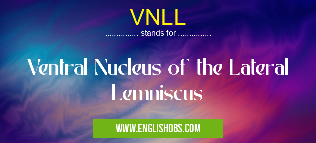 VNLL means Ventral Nucleus of the Lateral Lemniscus VNLL