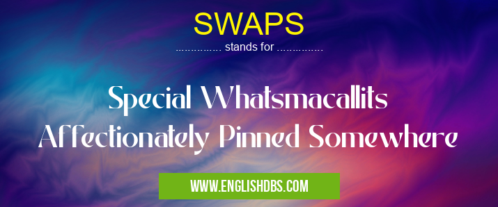 SWAPS means Special Whatsmacallits Affectionately Pinned Somewhere SWAPS
