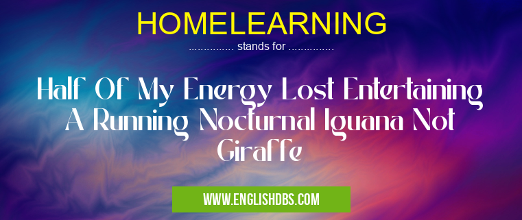 HOMELEARNING means Half Of My Energy Lost Entertaining A Running Nocturnal Iguana Not Giraffe HOMELEARNING